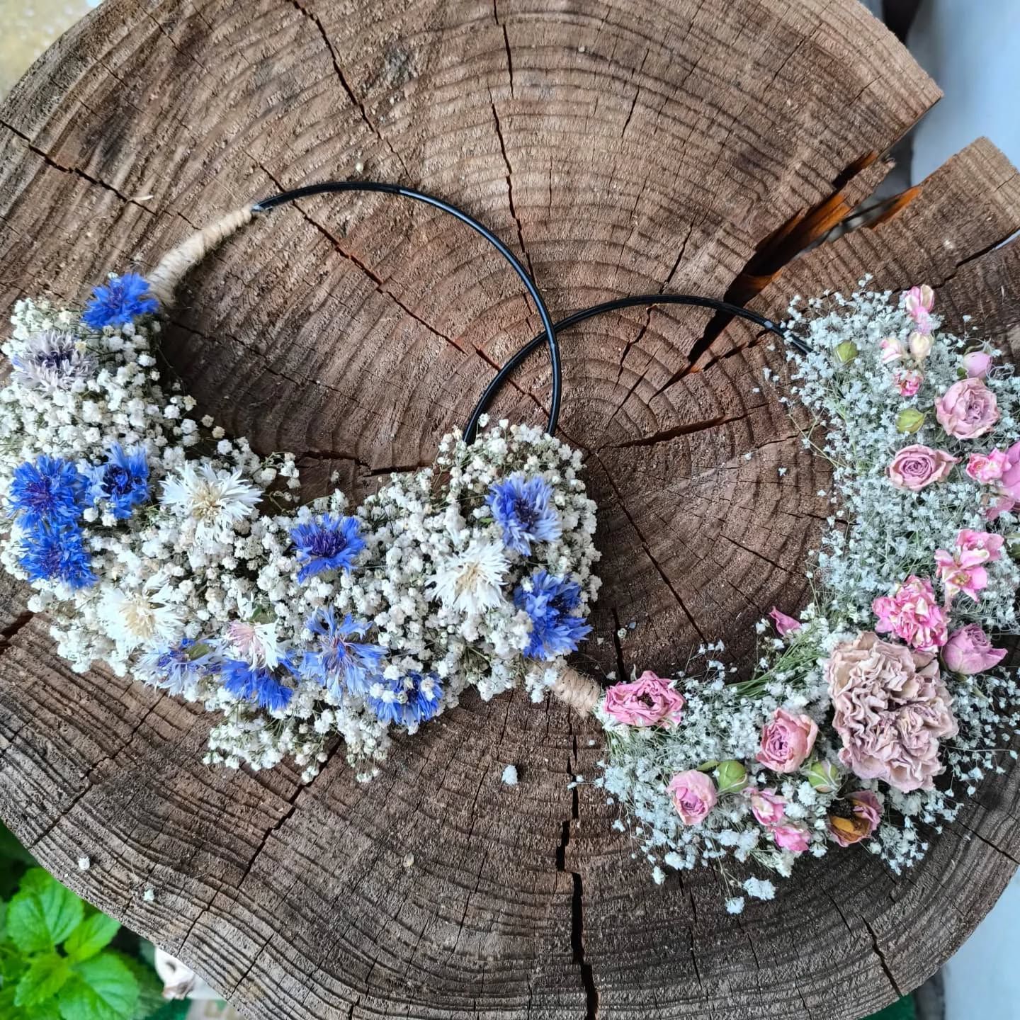 Obrázek 12 v galerii