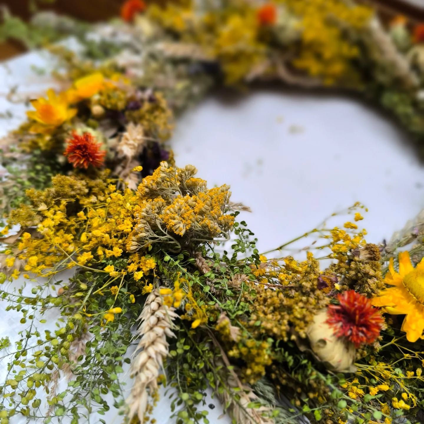 Obrázek 6 v galerii