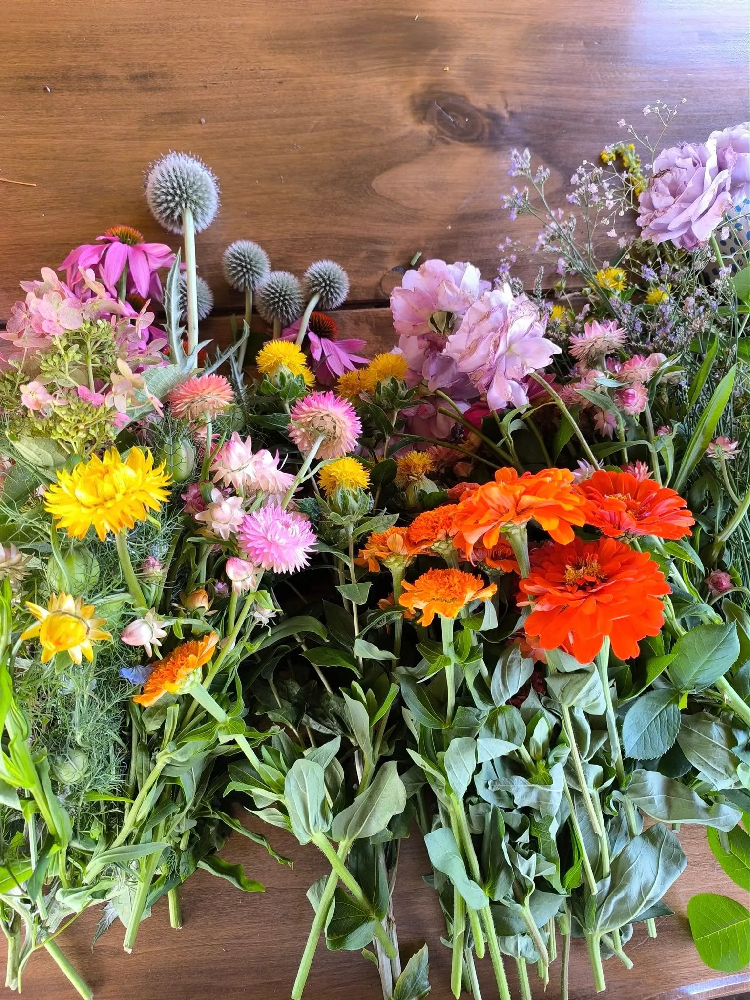 Kontaktní fotografie